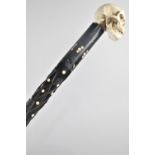 A Colonial Walking Cane with Bone Studding and Replacement Skull Handle, 78cms Long