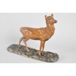 A Cold Painted Bronze Study of a Hind, One Ear with Loss, Naturalistic Oval Base, 19cms Wide