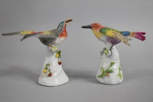 A Pair of Continental Porcelain Birds, Modeled Perching on Branch Decorated in Polychrome Enamels,