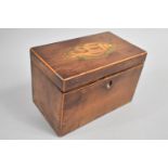 A Mid 19th Century Two Division Tea Caddy, Hinged Lid with Shell Decoration, 18.5cms Wide