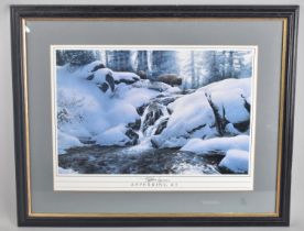A Framed Print Icy Waterfall with Bison, 43x29cms