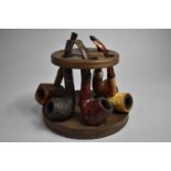 An Edwardian Circular Wooden Pipe Stand with Five Vintage Pipes