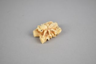 A Reproduction Bone Netsuke in the form of a Bug on a Branch, Signed, 5cm wide