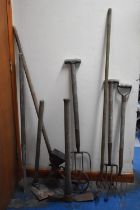 A Collection of Various Vintage Wooden Handled Garden Tools