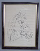 A Framed Study of a Horse's Head with Bridle by Trevor Taylor 1997