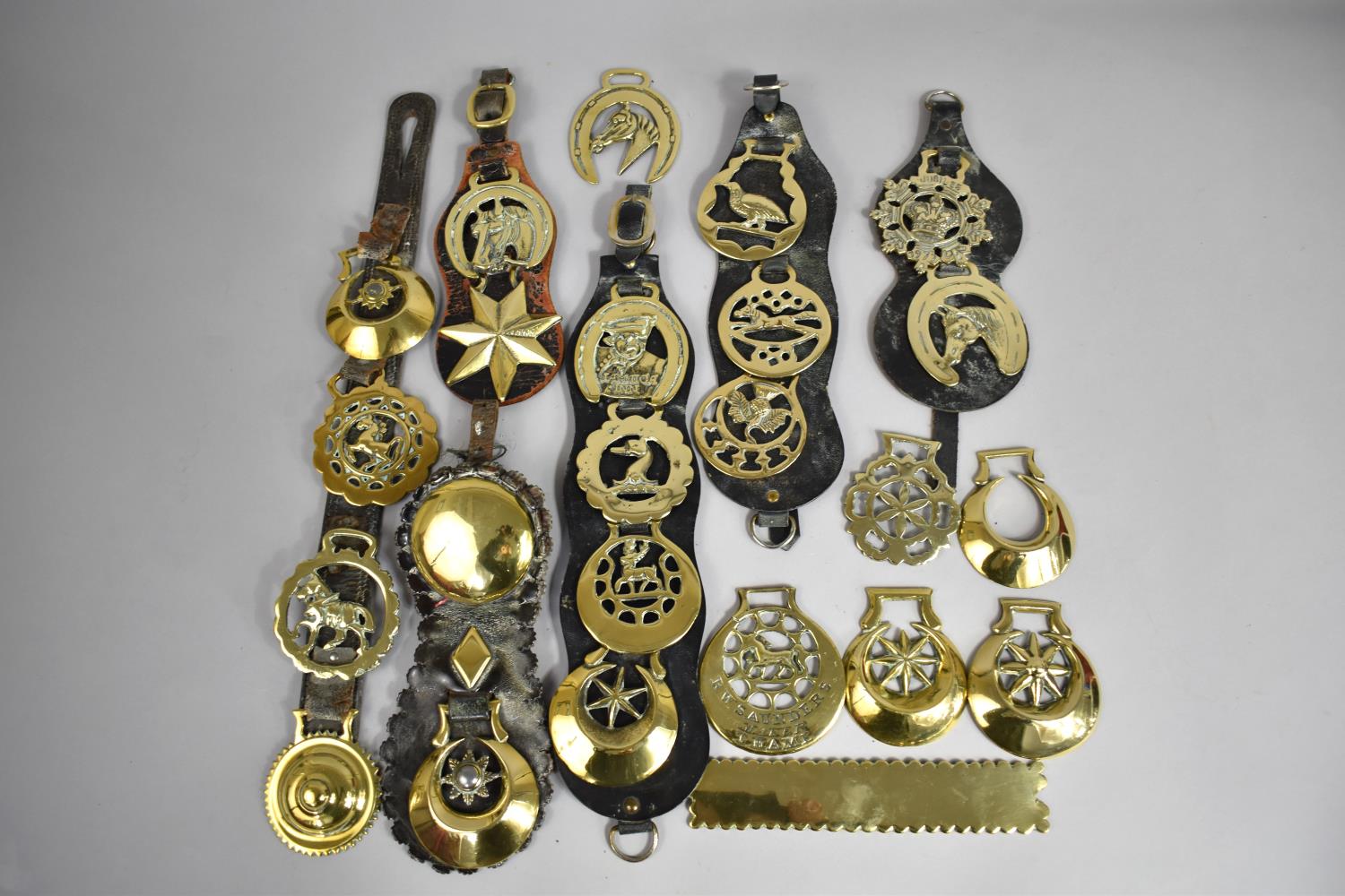 A Collection of Various 19th and 20th Century Horse Brasses to Feature Examples with Horse Motif and