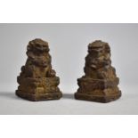 A Pair of Chinese Reconstituted Studies of Temple Lions on Plinth Bases, Remnants of Gilt