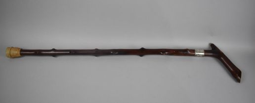 A Silver Mounted Thorn Wood Walking Stick, Hallmarked Birmingham 1901 by A and J Zimmerman