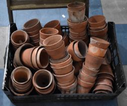 A Large Collection of Various Terracotta Small Plant Pots