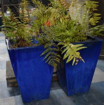 A Pair of Blue Glazed Planters of Square Tapering Form, 43cms High
