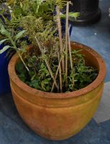 A Terracotta Garden Planter,