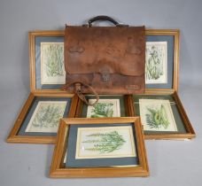 A Music Satchel Together with a Collection of Botanic Prints