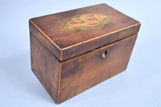 A Mid 19th Century Two Division Tea Caddy, Hinged Lid with Shell Decoration, 18.5cms Wide