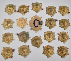 A Collection of Chairmans Chain Discs, in Gilt Metal For the Royal Antediluvian Order of Buffaloes