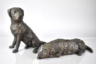 After Rodney Munday, Two Limited Edition Bronzed Resin Studies of Labradors, Recumbent No. 4/9 and