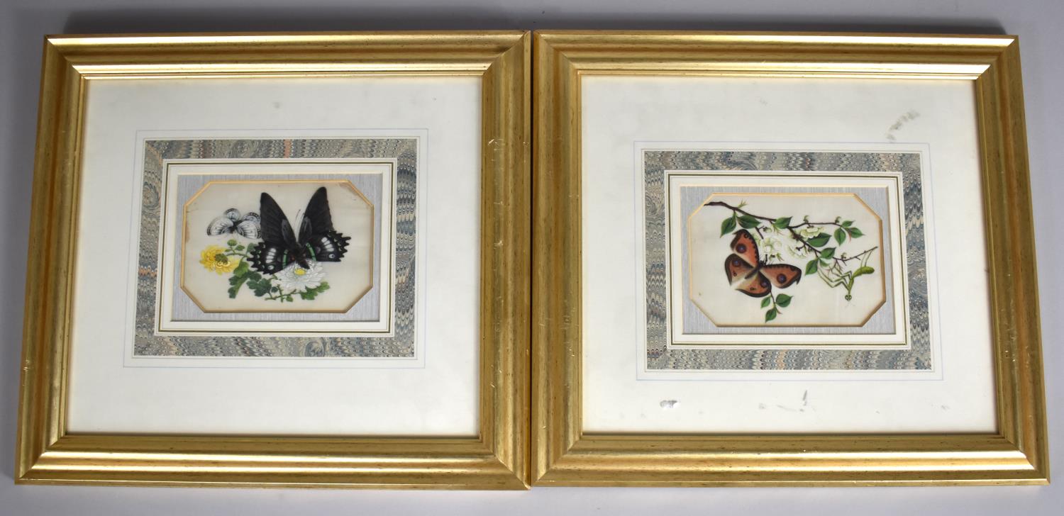 A Pair of Framed Chinese Paintings on Silks Depicting Butterflies and Blossom, each 15x10cm