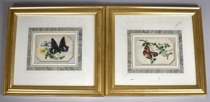 A Pair of Framed Chinese Paintings on Silks Depicting Butterflies and Blossom, each 15x10cm