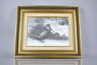 A Gilt Framed Good Quality Pencil Drawing of a Pair of Nesting Woodcock. The Monogram A.T. Bottom