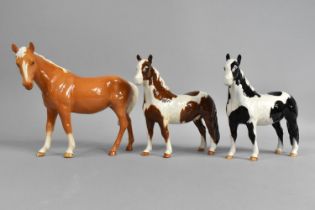 Three Beswick Horses to Comprise Pinto Piebald Pony, Pinto Skewbald (Chip to Ear) and a Palomino