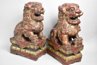 A Pair of Carved Wooden Temple Lions sat on Rectangular Thrones, 30cm High