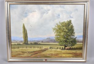 A Framed Oil on Canvas, Rural Gated Meadow Scene with Cow, Signed Anthony Woodbridge, Subject