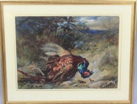 James Hardy Junior (British, 1832-1889), Watercolour and Gouache, Cock Pheasant, Signed, 66x48cm