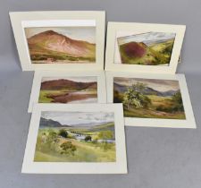 A Collection of Various Unframed Watercolours