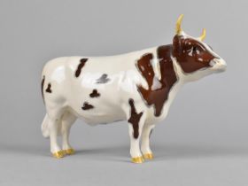 A Beswick CH Whitehill Mandate Ayrshire Bull (Nick to horn)