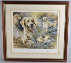 A Framed Mick Cawston Print of Golden Retriever, Limited Edition No 661/880, 40x34cms, Signed in