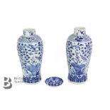 Chinese Blue and White Baluster Vases