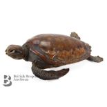 Taxidermy Turtle