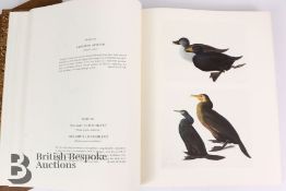 Audubon John James The Original Watercolours for the Birds of America