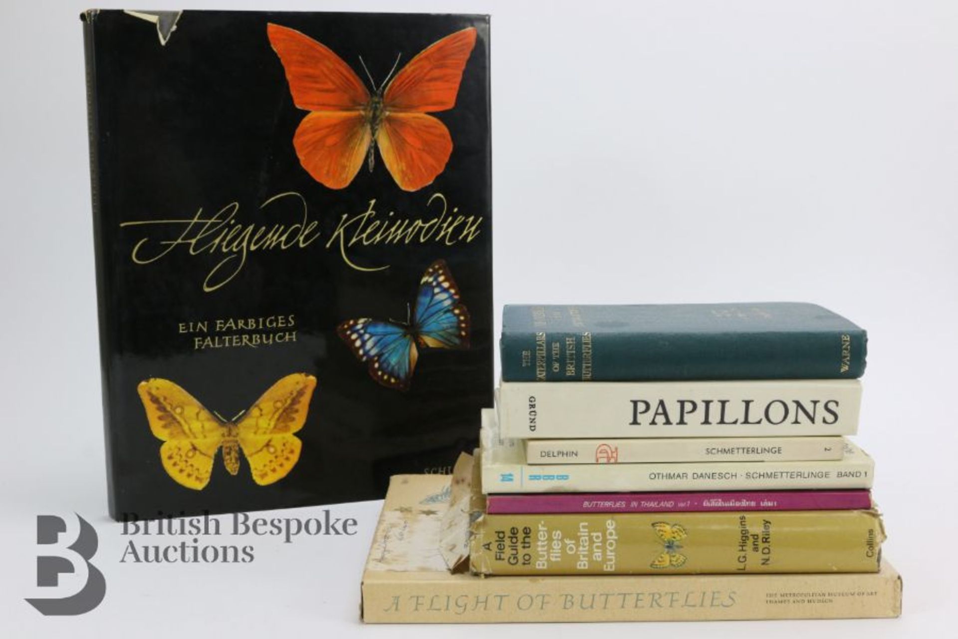 Lepidopterology - Collection of Taxidermy Butterflies - Bild 14 aus 28