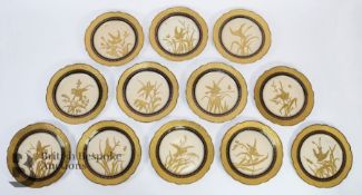 Twelve Gilded Cabinet Plates