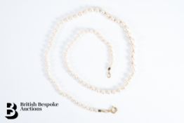 A graduated set of single pearls on simple 18ct gold clasp. Pearls measure from 4mm to 7mms,