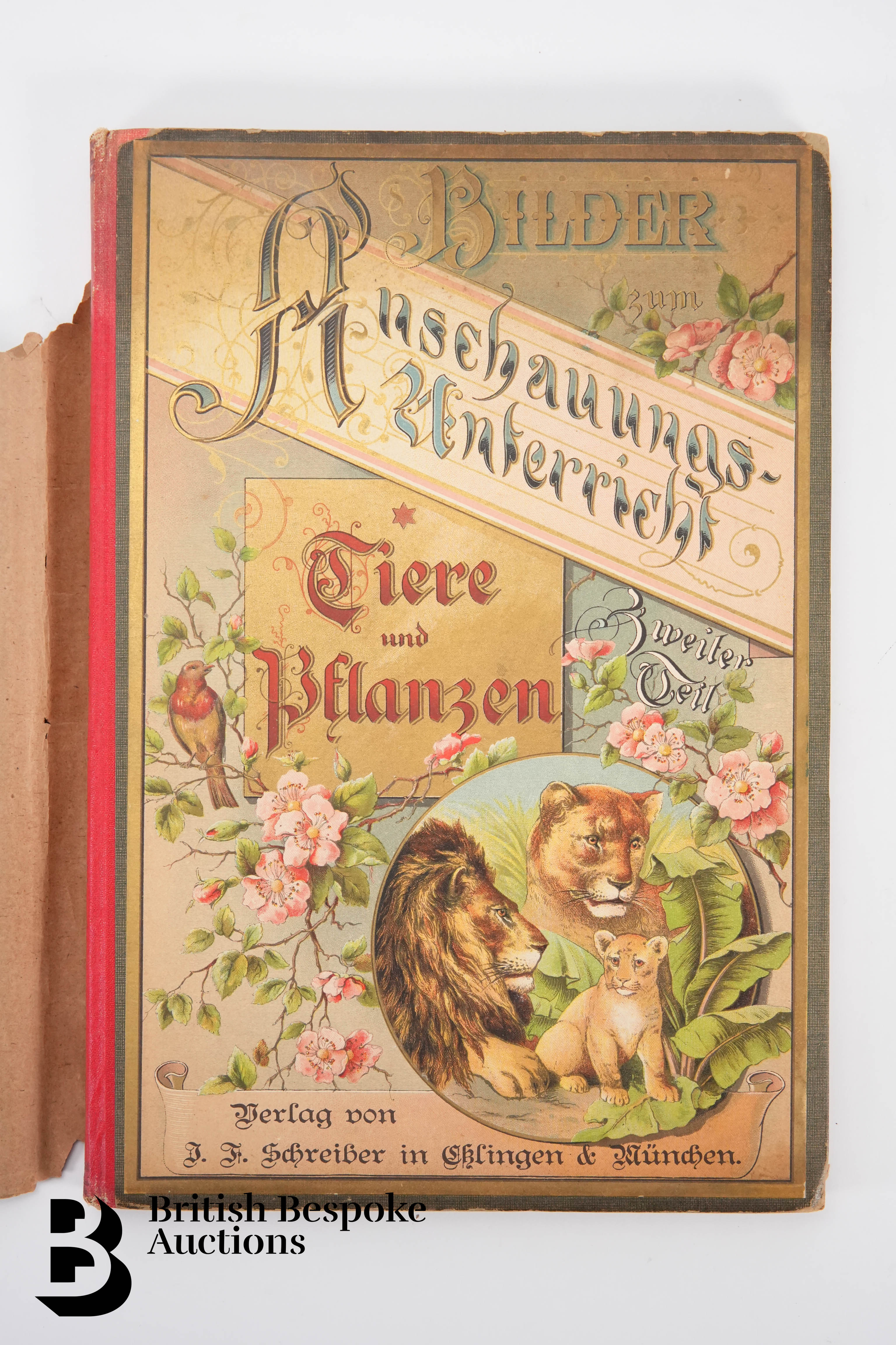 'Darstellungen der Bekanntesten Tiere und Pflanzen' Picture Book - Image 4 of 6