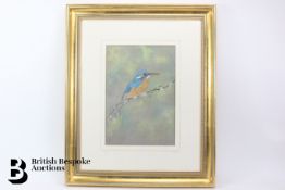 Print of Kingfisher