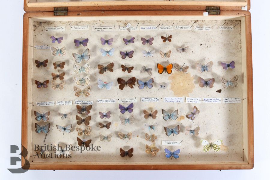 Box of Butterflies and Quantity of Books - Image 3 of 4
