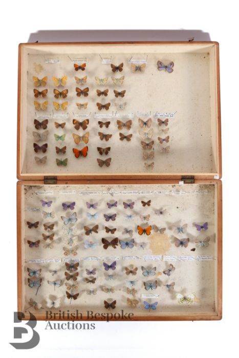 Box of Butterflies and Quantity of Books - Image 2 of 4