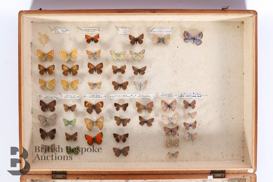 Box of Butterflies and Quantity of Books - Image 4 of 4