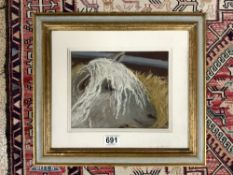 A PASTEL PORTRAIT OF A WENSLEYDALE SHEEP- BY SUE CAMPION, 24X19.