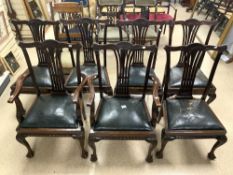 A SET OF SEVEN CHIPPENDALE STYLE MAHOGANY DINING CHAIRS, [ 2 CARVERS & 5 SINGLES ]