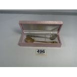 TWO ORIENTAL ENAMEL SPOONS IN BOX.