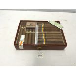 COHIBA HABANOS UNOPENED BOXED CIGARS X 26