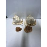 TWO LARGE CONCH SHELLS WITH TWO SMALLER ONES