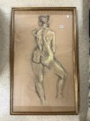 ARTIST CHALK LIFE DRAWING 116 X 71CM