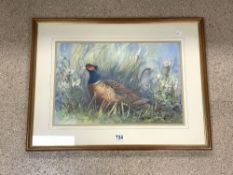 FRANCIS BOXALL WATERCOLOUR DRAWING STUDY OF PHEASANTS SIGNED AND DATED 1987 73 X 55CM