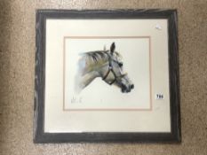 A WATERCOLOUR STUDY OF A HORSES HEAD, INDISTINCTLY SIGNED, 38X32 CMS.