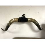 LARGE SET OF VINTAGE PAIR OF HORNS 110 CM