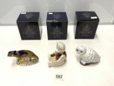 THREE BOXED ROYAL CROWN DERBY PIECES CHAMELEON, SNOWY OWL AND TEDDY BEAR
